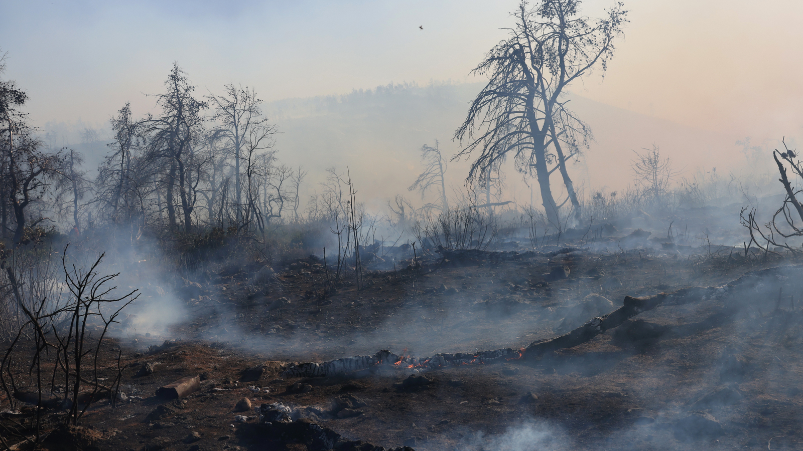 Waldbrände in Griechenland Mehrere Dörfer evakuiert oe24 at