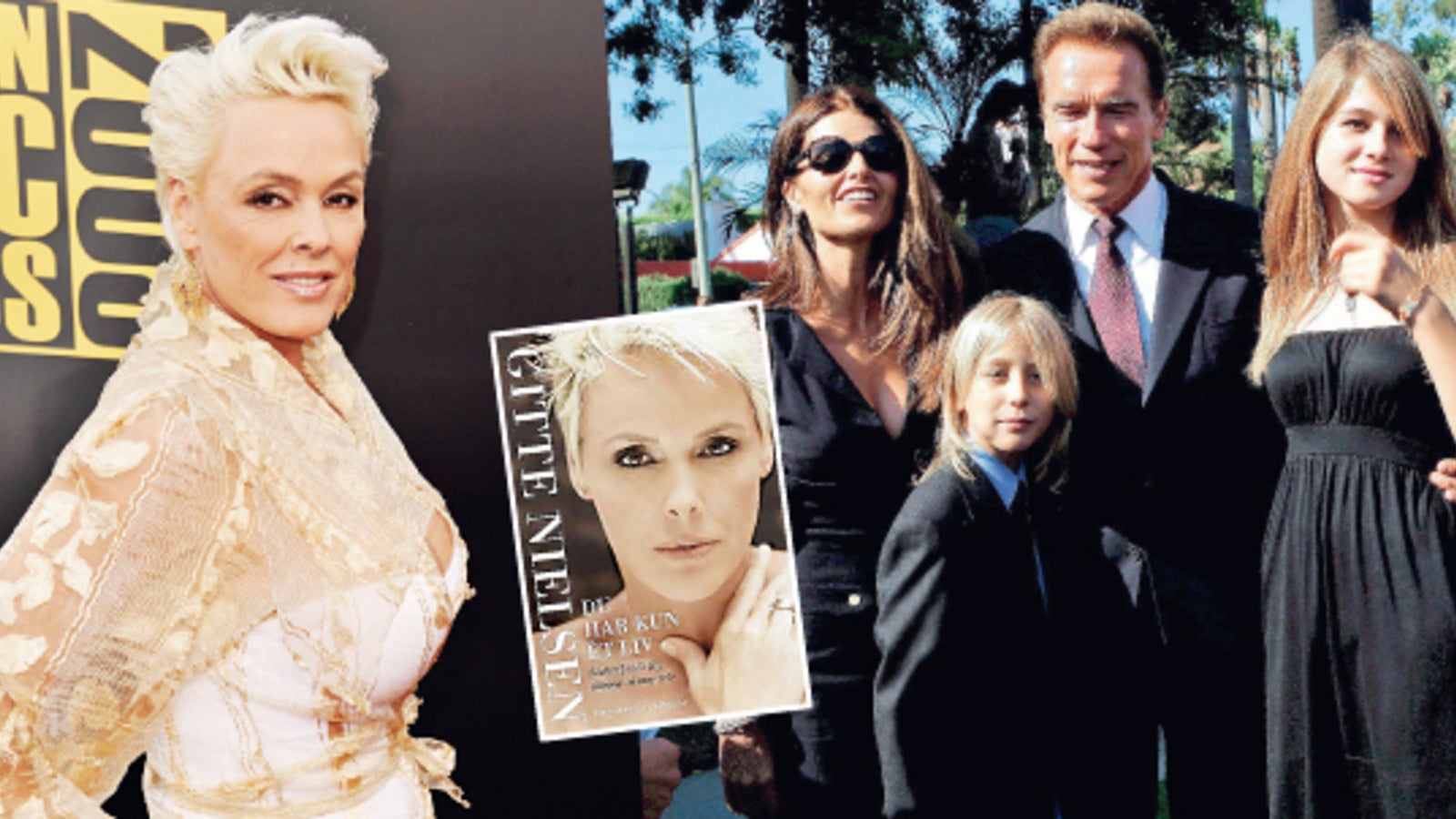 Nielsen Sex Mit Schwarzenegger Oe24 At