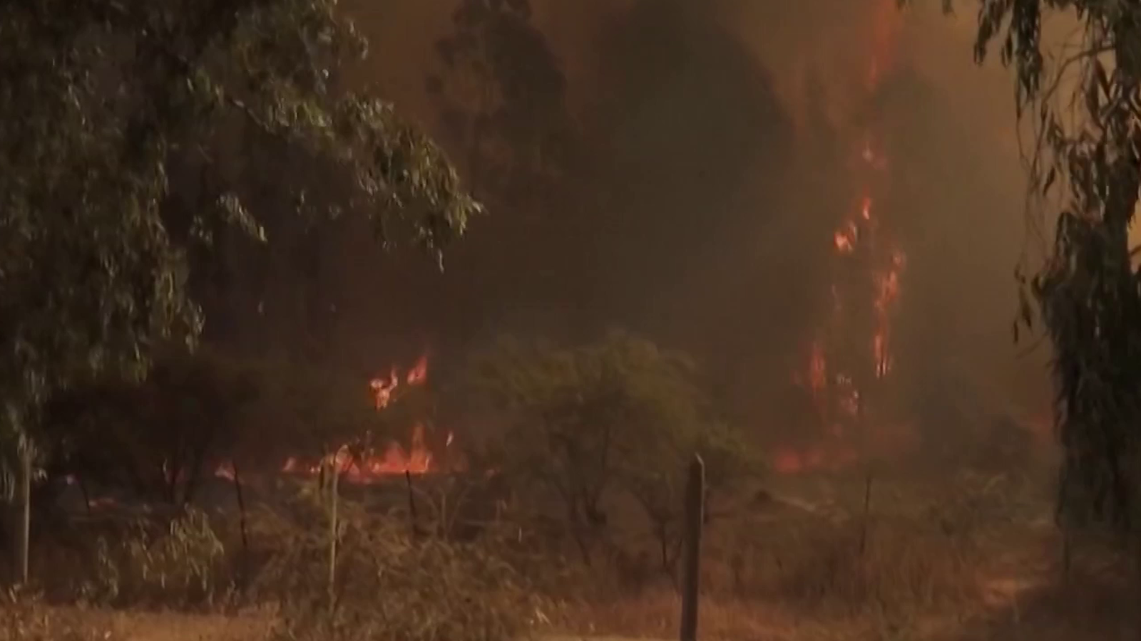 Chile Mindestens 24 Tote durch Waldbrände oe24 tv