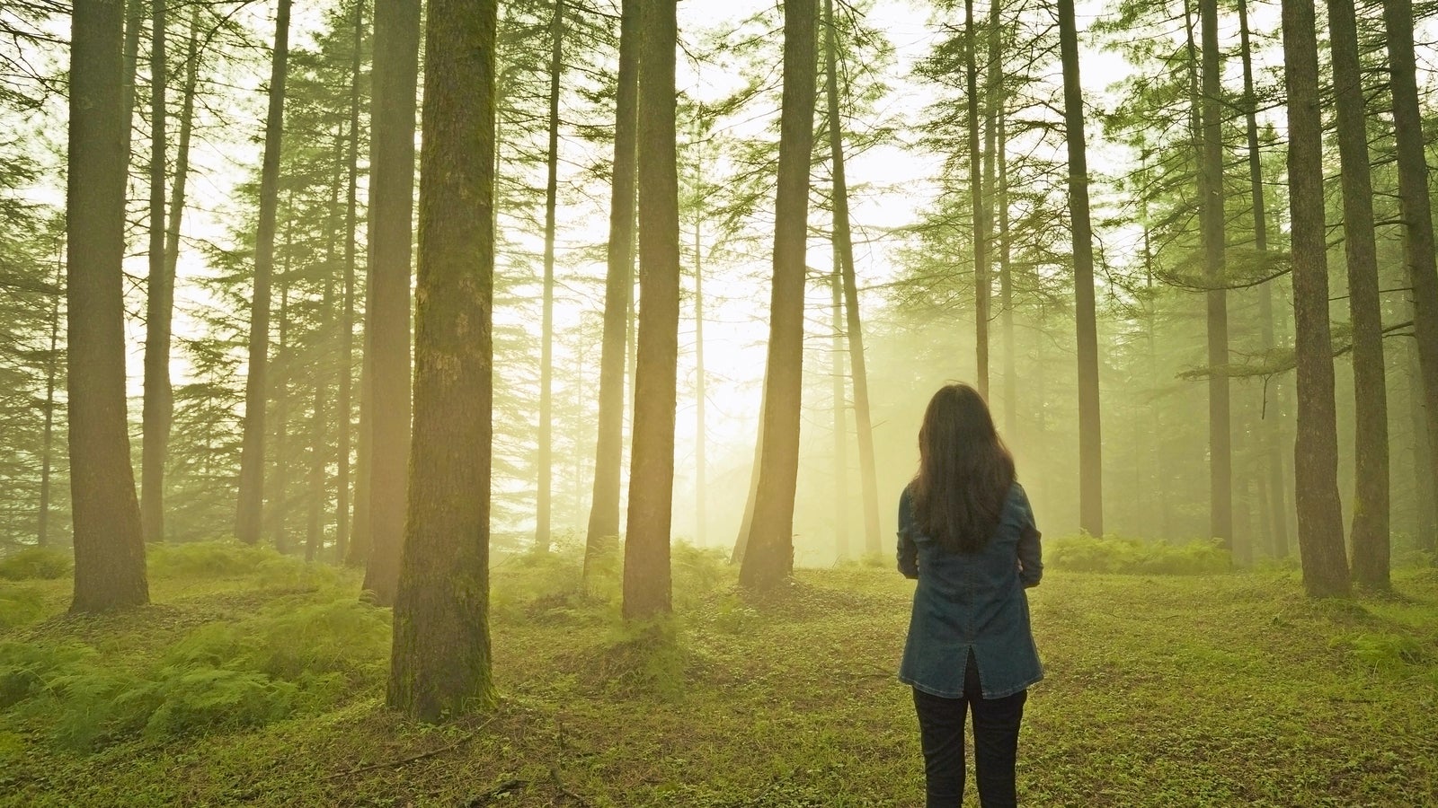 Sex Video mit Jähriger im Wald gedreht oe at