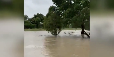überschwemmungen Outback.png
