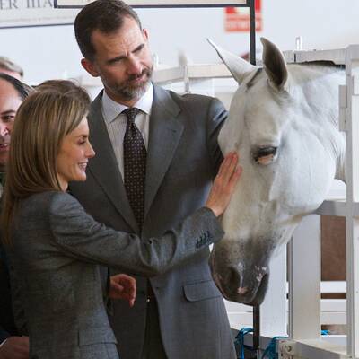 Letizia & Felipe: Tierischer Einsatz