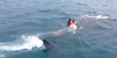 Mutiger Junge surft auf Walhai-Rücken