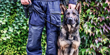 Polizeihund führte Kripo zum Versteck des Killers