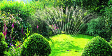 Gartenbewässerung: Tipps für die Sommerzeit