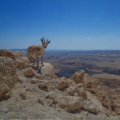 Israel National Trail 