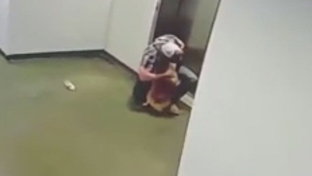 Hund-Lift