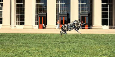 Wie sieht der schnellste Robotor der Welt aus?