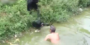 Mann wird von Affen attackiert
