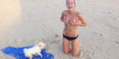 Hund reisst Frau Bikini runter