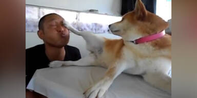 Dieser Hund will nicht geküsst werden