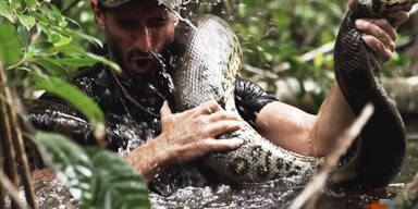 Mann wird von Anaconda gefressen
