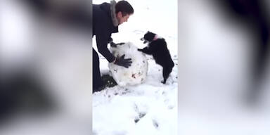 Hund baut einen Schneemann