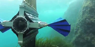 Roboter kann schwimmen wie Tintenfisch