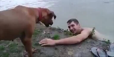 Hund rettet Mann vor dem Ertrinken