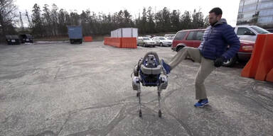 Hunde-Roboter 'Spot' wird vorgestellt