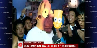Proteste gegen TV-Absetzung der "Simpsons"