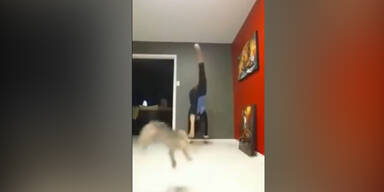 Frau kickt Mini-Hund durch die Luft