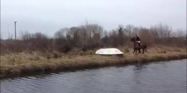 Pferd will nicht über Boot springen