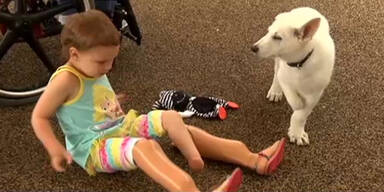Mädchen ohne Beine adoptiert Hund ohne Pfoten