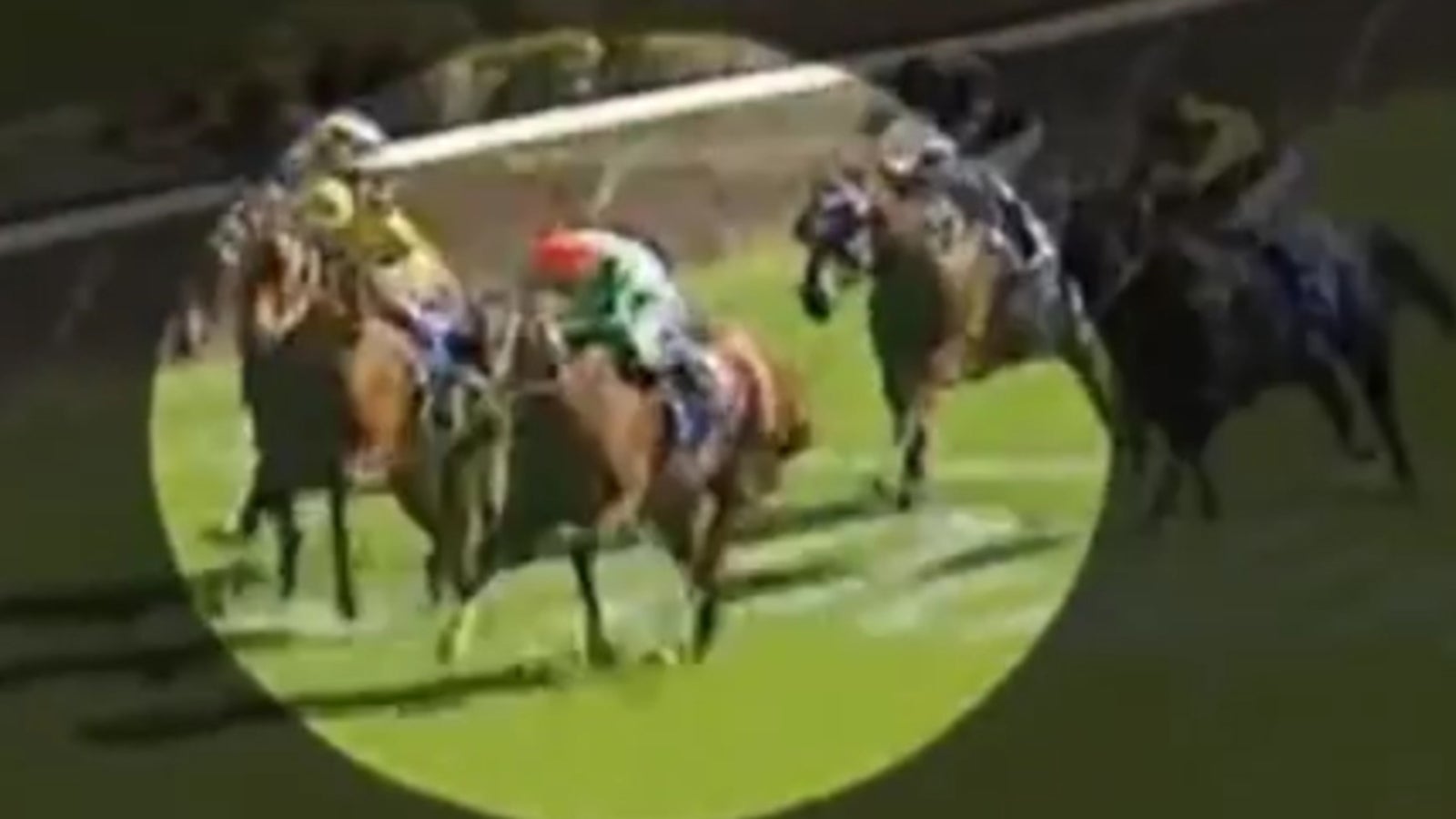 PopoBlitzer Jockey verliert Hose oe24.tv