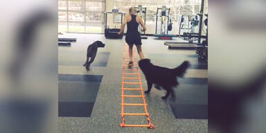 Lindsay Vonn: Training mit ihren Hunden
