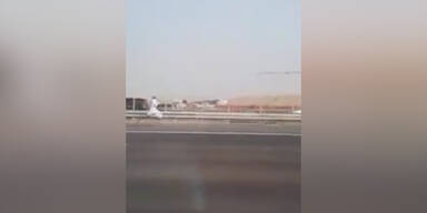 Auf Autobahn: Scheich jagt Kamel