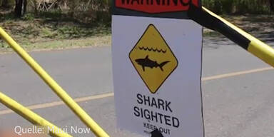 Vor diesem Strand tötete ein Hai eine Schwimmerin
