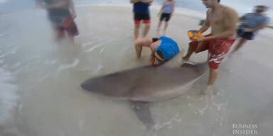 Teenager fängt 200kg Riesenhai