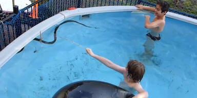 Burschen finden 2-Meter Python im Pool