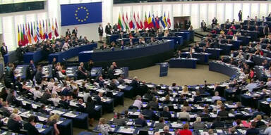 Katharsis im EU-Parlament?