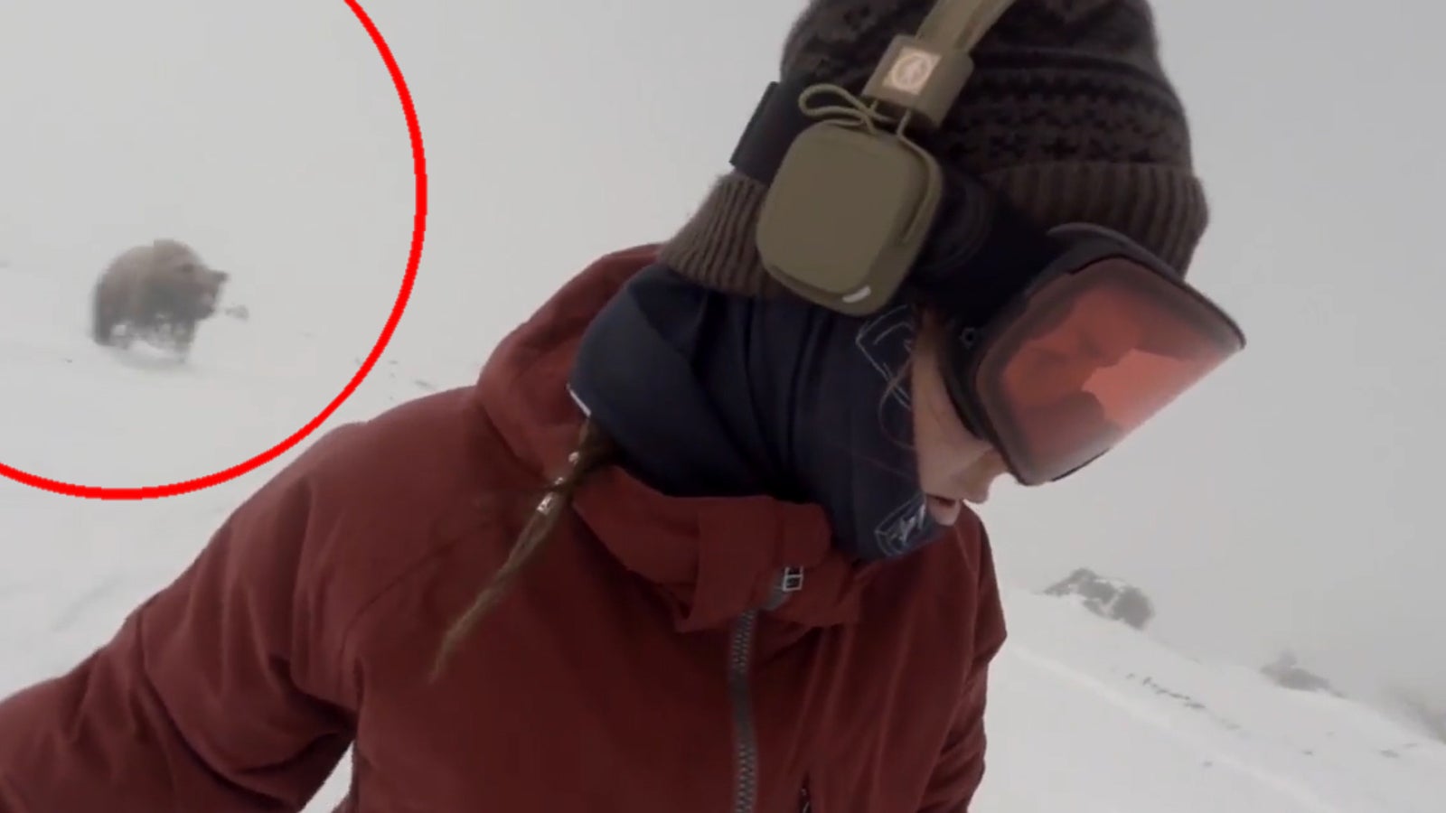 Snowboarderin Von B r Verfolgt Oe24 tv snowboarderin-von-b-r-verfolgt-oe24-tv