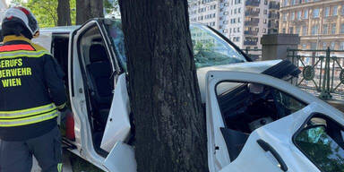 Auto crasht auf der Linken Wienzeile in Baum