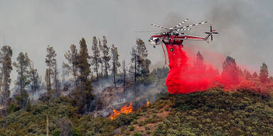 Yosemite-Park wegen Inferno evakuiert