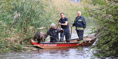 Frau ertrunken: Leiche in Teich entdeckt