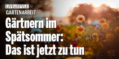 Gärtnern im Spätsommer: Das ist jetzt zu tun