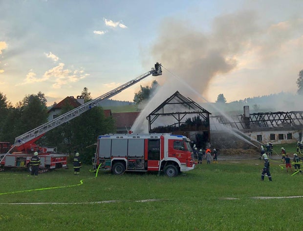 Feuer-Inferno: Zehn Kühe aus brennender Scheune gerettet
