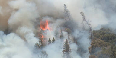 Kalifornien: Lagerfeuer löste Waldbrand aus