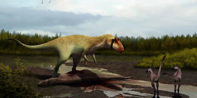 Dinosaurier entdeckt: Stärker als der T-Rex