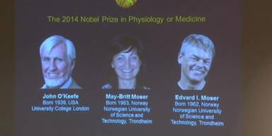 Medizin-Nobelpreis vergeben