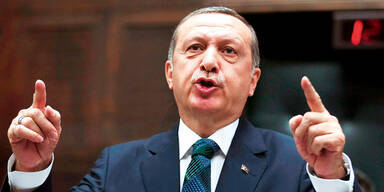Erdogan in Wien: Randale und Skandale