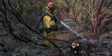 Waldbrände in Kalifornien fast gelöscht