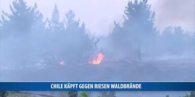 20170124_66_97317_170124_MI_026_Chile-kaempft-gegen-riesen-Waldbrande_Danner.jpg