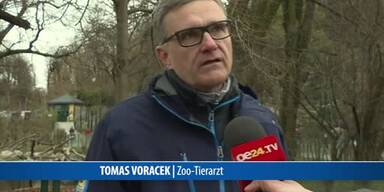 20170310_66_106832_170310_Interview_Zoo_Tierarzt.jpg