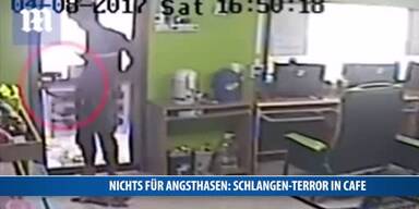 20170413_66_114822_170413_FB_Schlange_terrorisiert_Cafe.jpg