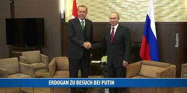 20170503_66_118769_170503_20H_008_Erdogan_Putin_Treffen.jpg