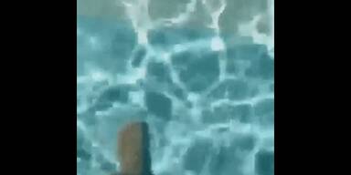 20170724_66_136027_Glass_bottom_pool_with_a_view.00000.jpg