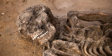 6.500 Jahre altes Skelett in Bayern gefunden