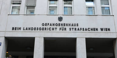 52-Jähriger in Wien wegen Tötungsdelikts angeklagt