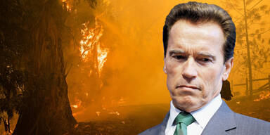 Schwarzenegger auf der Flucht vor Waldbränden